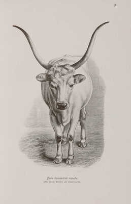 Иллюстрированное собрание сочинений Чарлза Дарвина / Ред. проф. К.А. Тимирязева. В 8 т. Т. 1-8. М., 1907-1908.